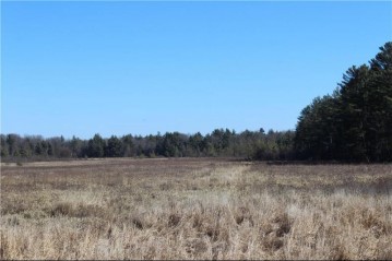 0 Maple Road - 20 Acres, Neillsville, WI 54456