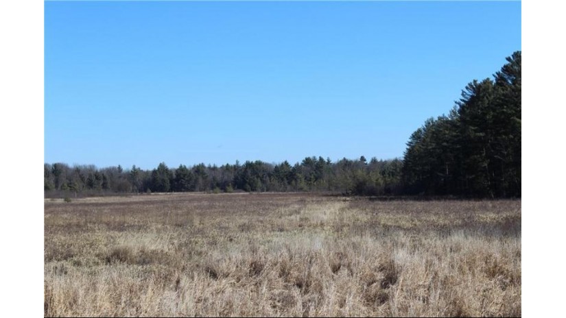 0 Maple Road - 20 Acres Neillsville, WI 54456 by Base Camp Country Real Estate $49,900