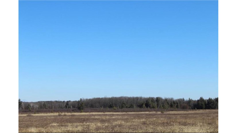 0 Maple Road - 20 Acres Neillsville, WI 54456 by Base Camp Country Real Estate $49,900