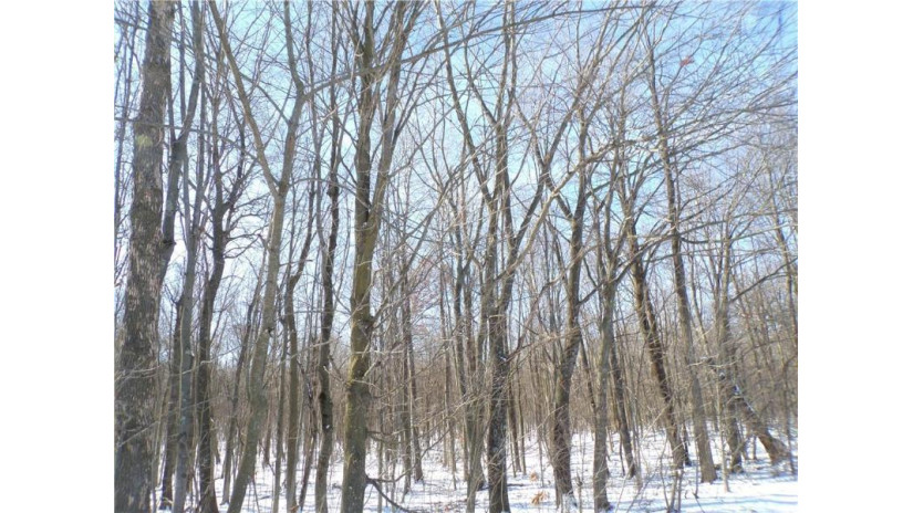 Lot 13 Sunny Side Road Jump River, WI 54766 by Riverbend Realty Group, Llc $74,900