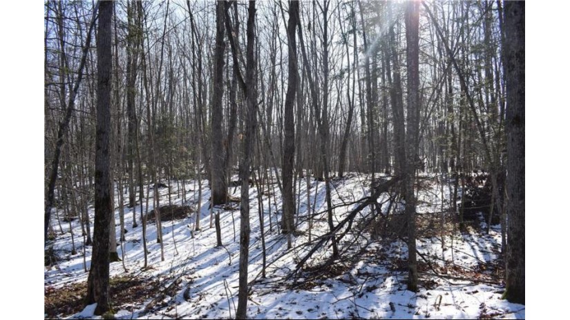 Lot 18 Pondell Ln W Bruce, WI 54819 by Brenner Realty, Llc $69,000