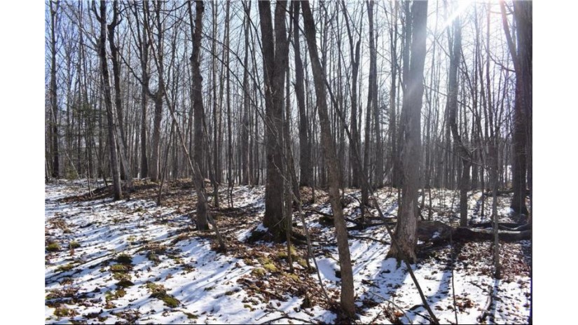 Lot 18 Pondell Ln W Bruce, WI 54819 by Brenner Realty, Llc $69,000