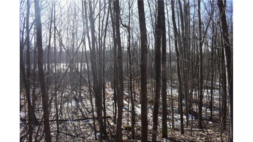 Lot 18 Pondell Ln W Bruce, WI 54819 by Brenner Realty, Llc $69,000