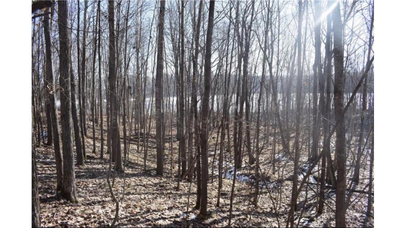 Lot 18 Pondell Ln W Bruce, WI 54819 by Brenner Realty, Llc $69,000