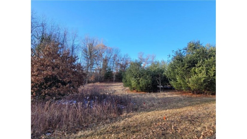 00 Sunfish Circle Chetek, WI 54728 by Keller Williams Realty Diversified Chetek $29,900