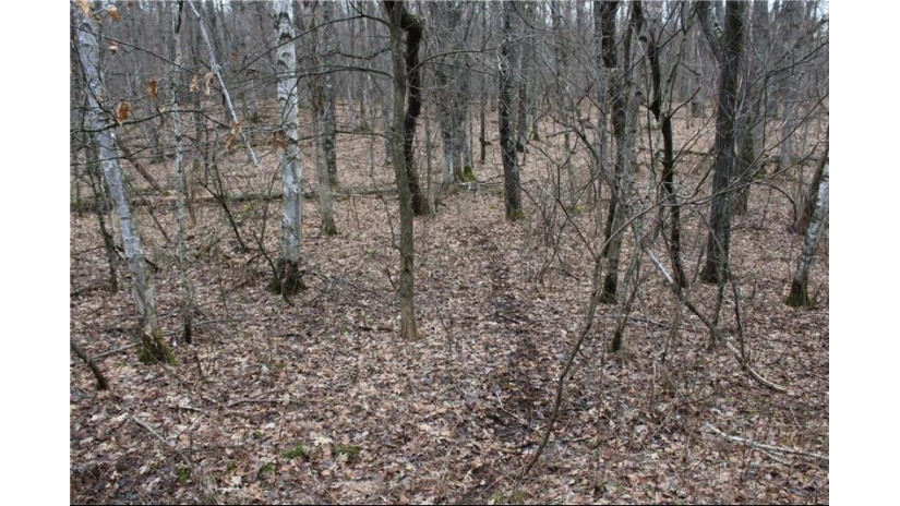 0 Wildwood Lane - Lot 4 Fairchild, WI 54741 by Base Camp Country Real Estate $90,000