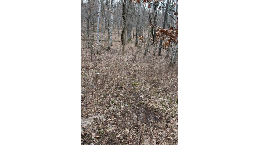 0 Wildwood Lane - Lot 4 Fairchild, WI 54741 by Base Camp Country Real Estate $90,000