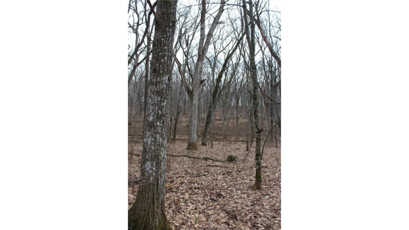 0 Wildwood Lane - Lot 4 Fairchild, WI 54741 by Base Camp Country Real Estate $90,000