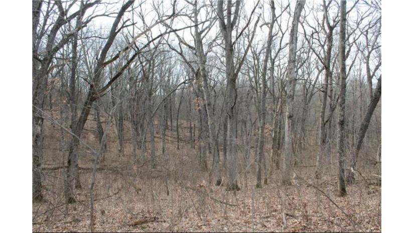 0 Wildwood Lane - Lot 4 Fairchild, WI 54741 by Base Camp Country Real Estate $90,000