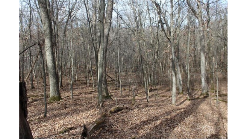 0 Wildwood Lane - Lot 4 Fairchild, WI 54741 by Base Camp Country Real Estate $90,000