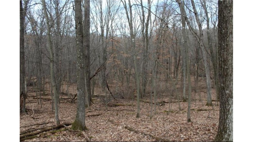 0 Wildwood Lane - Lot 4 Fairchild, WI 54741 by Base Camp Country Real Estate $90,000