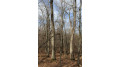 0 Wildwood Lane - Lot 4 Fairchild, WI 54741 by Base Camp Country Real Estate $90,000