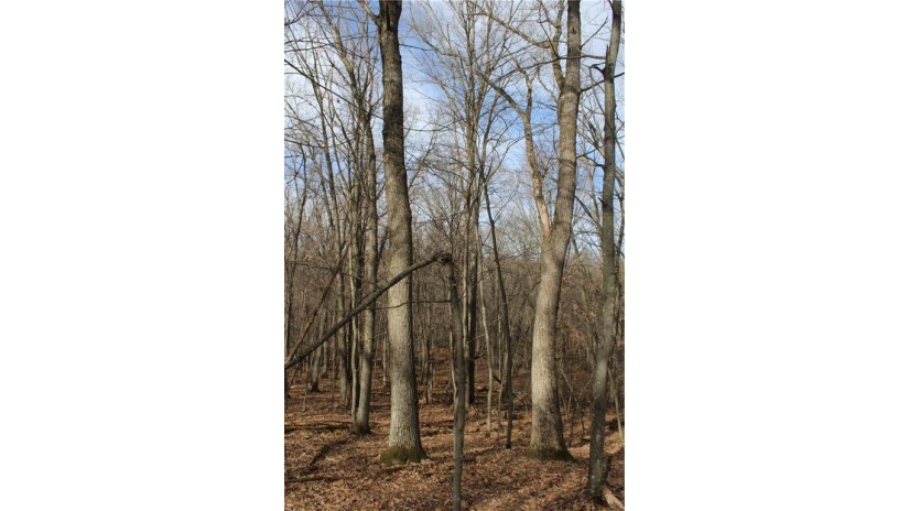 0 Wildwood Lane - Lot 4 Fairchild, WI 54741 by Base Camp Country Real Estate $90,000