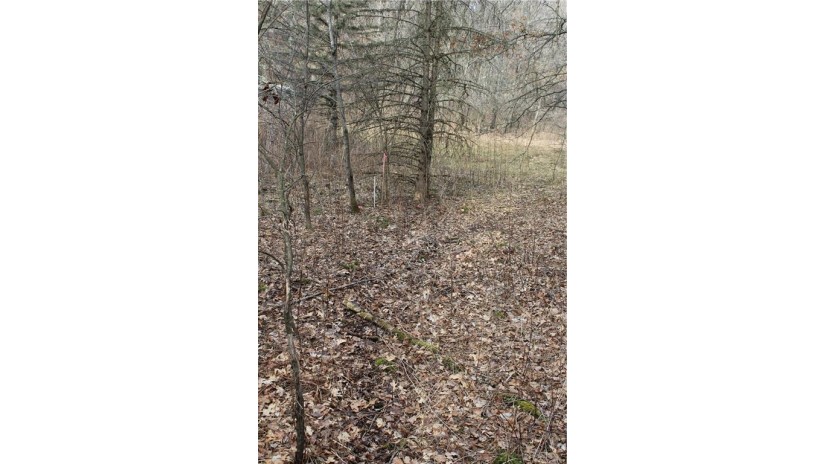 0 Wildwood Lane - Lot 4 Fairchild, WI 54741 by Base Camp Country Real Estate $90,000