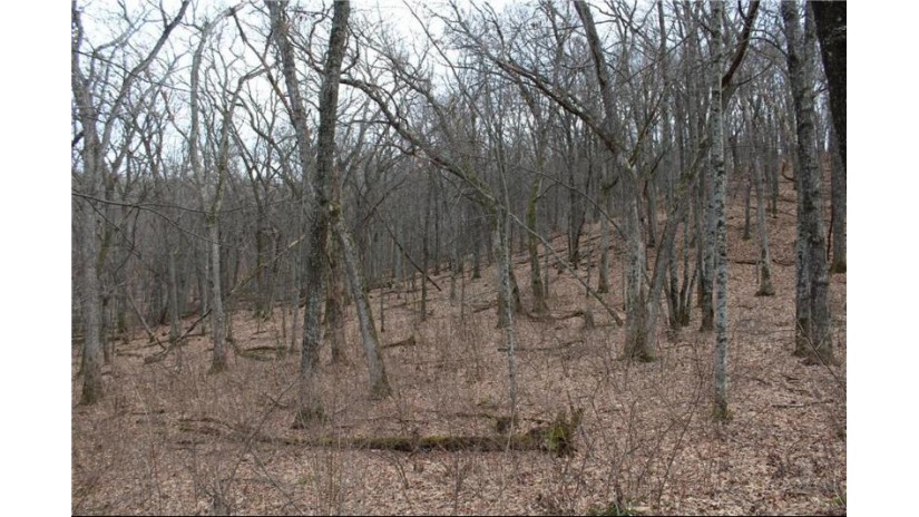 0 Wildwood Lane - Lot 4 Fairchild, WI 54741 by Base Camp Country Real Estate $90,000