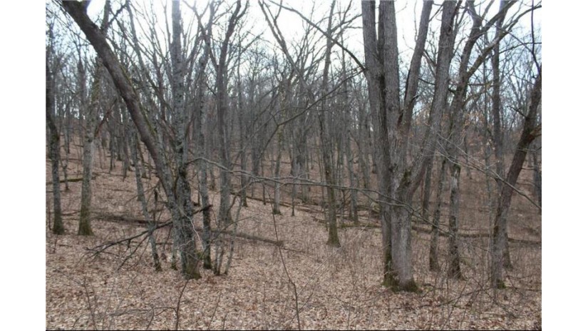 0 Wildwood Lane - Lot 4 Fairchild, WI 54741 by Base Camp Country Real Estate $90,000