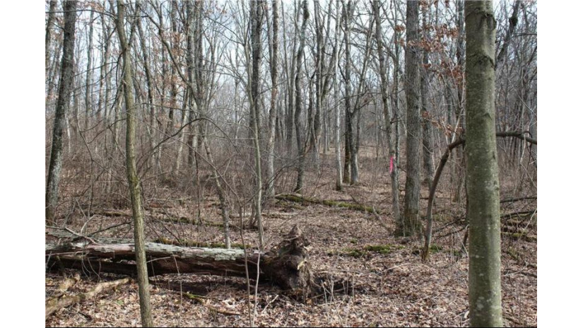 0 Wildwood Lane - Lot 4 Fairchild, WI 54741 by Base Camp Country Real Estate $90,000