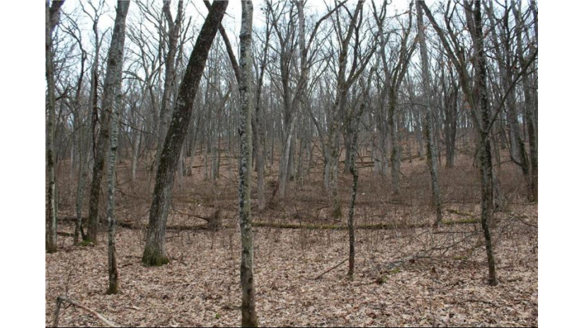 0 Wildwood Lane - Lot 4 Fairchild, WI 54741 by Base Camp Country Real Estate $90,000