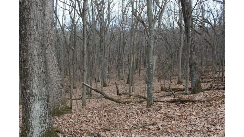 0 Wildwood Lane - Lot 4 Fairchild, WI 54741 by Base Camp Country Real Estate $90,000