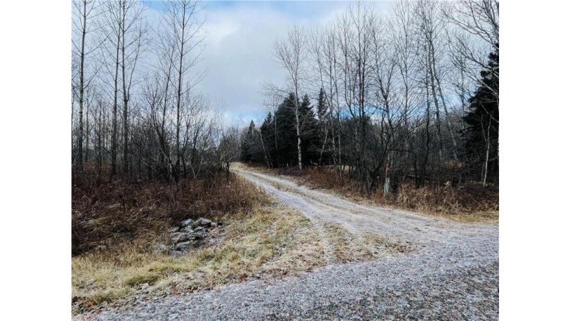 +/- 50.2 ACRES Hamm Drive Owen, WI 54460 by Landguys, Llc Of Wisconsin $199,900