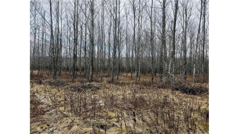 +/- 50.2 ACRES Hamm Drive Owen, WI 54460 by Landguys, Llc Of Wisconsin $199,900