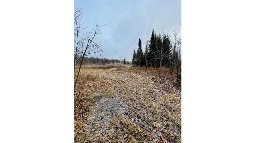 +/- 50.2 ACRES Hamm Drive Owen, WI 54460 by Landguys, Llc Of Wisconsin $199,900