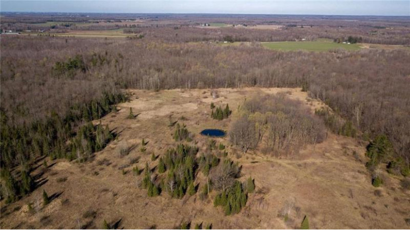 +/- 50.2 ACRES Hamm Drive Owen, WI 54460 by Landguys, Llc Of Wisconsin $199,900