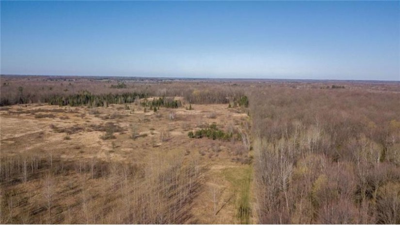 +/- 50.2 ACRES Hamm Drive Owen, WI 54460 by Landguys, Llc Of Wisconsin $199,900