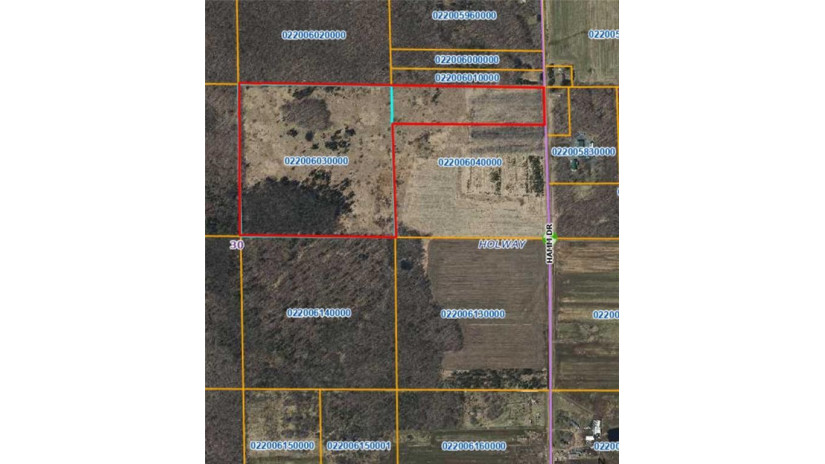 +/- 50.2 ACRES Hamm Drive Owen, WI 54460 by Landguys, Llc Of Wisconsin $199,900