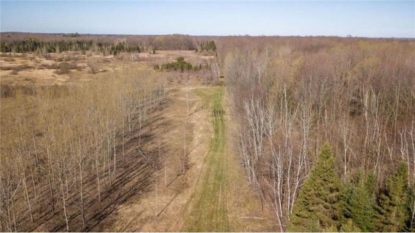 +/- 50.2 ACRES Hamm Drive Owen, WI 54460 by Landguys, Llc Of Wisconsin $199,900