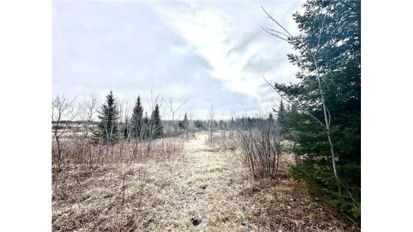 +/- 50.2 ACRES Hamm Drive Owen, WI 54460 by Landguys, Llc Of Wisconsin $199,900