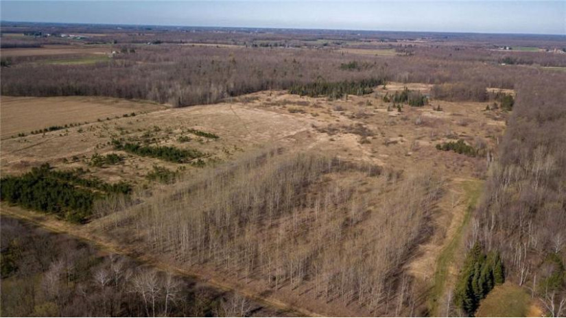 +/- 50.2 ACRES Hamm Drive Owen, WI 54460 by Landguys, Llc Of Wisconsin $199,900