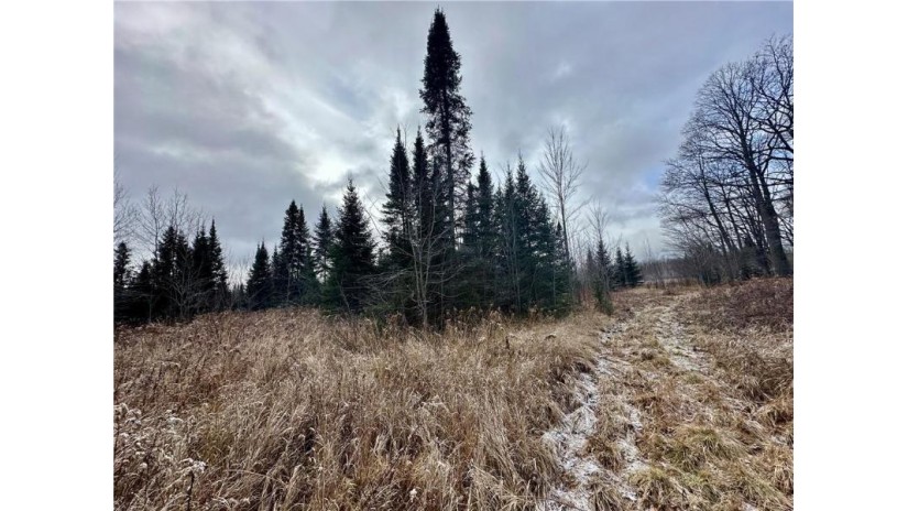 +/- 50.2 ACRES Hamm Drive Owen, WI 54460 by Landguys, Llc Of Wisconsin $199,900