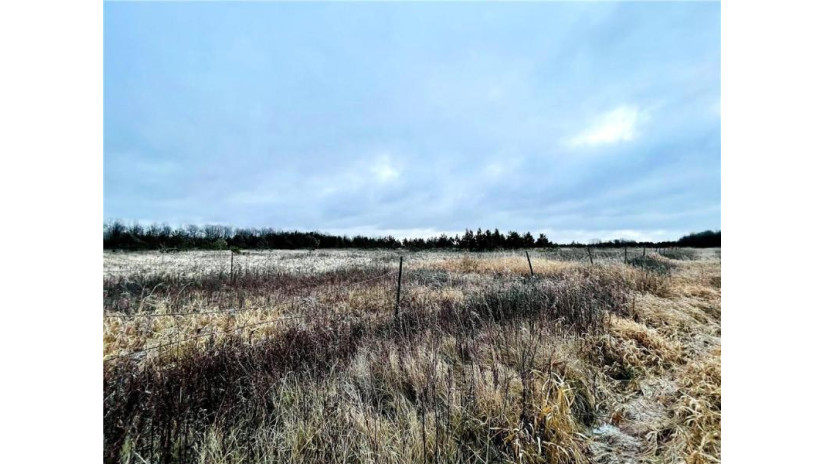 +/- 50.2 ACRES Hamm Drive Owen, WI 54460 by Landguys, Llc Of Wisconsin $199,900