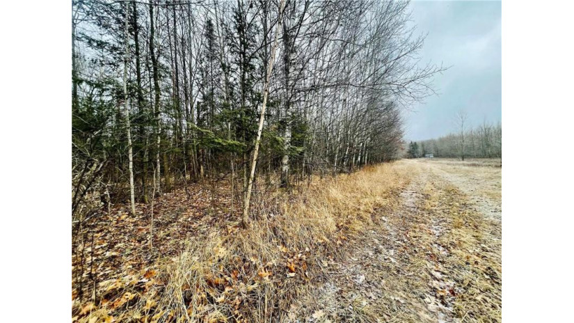 +/- 50.2 ACRES Hamm Drive Owen, WI 54460 by Landguys, Llc Of Wisconsin $199,900