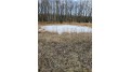 +/- 50.2 ACRES Hamm Drive Owen, WI 54460 by Landguys, Llc Of Wisconsin $199,900