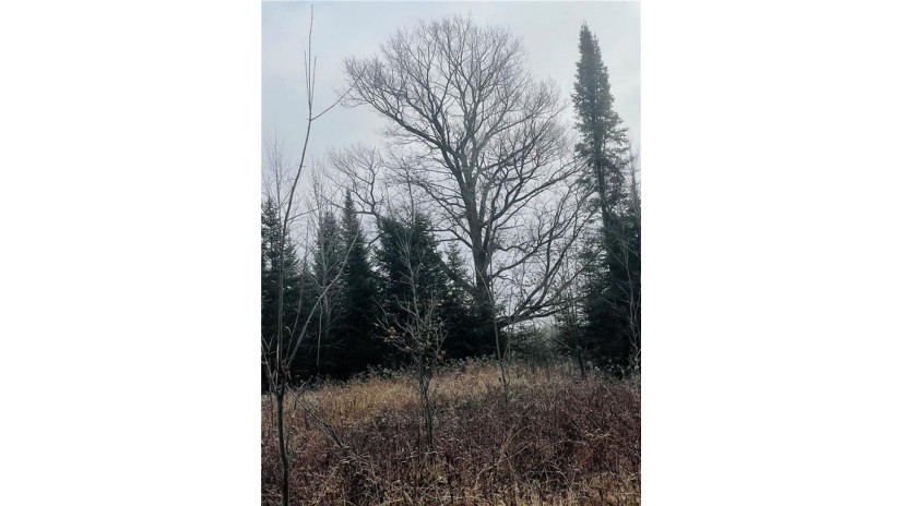 +/- 50.2 ACRES Hamm Drive Owen, WI 54460 by Landguys, Llc Of Wisconsin $199,900