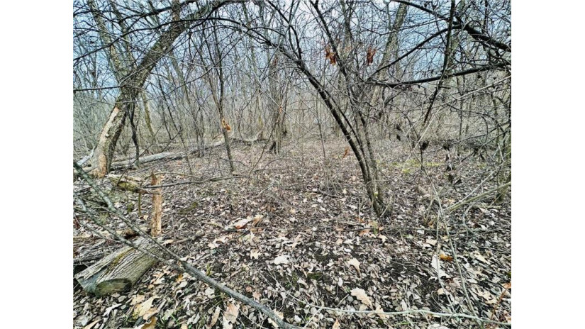 0.22 acres Sunfish Drive Trempealeau, WI 54661 by Woods & Water Realty Inc/Regional Office $19,900