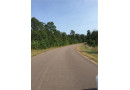 Lot 14 Shady Lane, Siren, WI 54872 by Dane Arthur Real Estate Agency/Siren $29,900