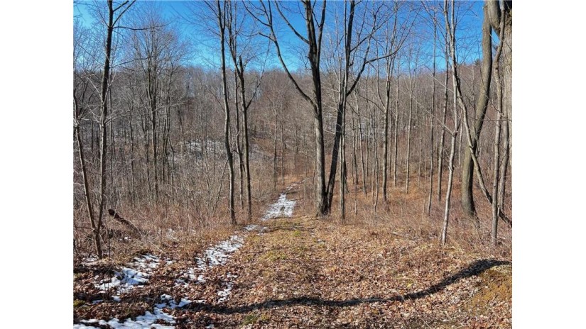 0 Markgraff Road Fall Creek, WI 54742 by Riverbend Realty Group, Llc $175,000