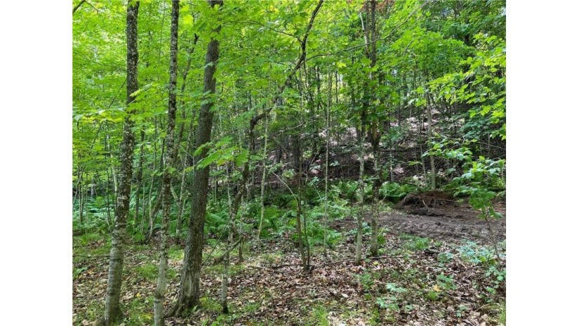 Lot 1 Balsam Drive Birchwood, WI 54817 by Riverbend Realty Group, Llc $599,900