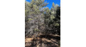 Lot 8 N Riverside Road Cable, WI 54821 by Edmunds Company, Llp $23,500