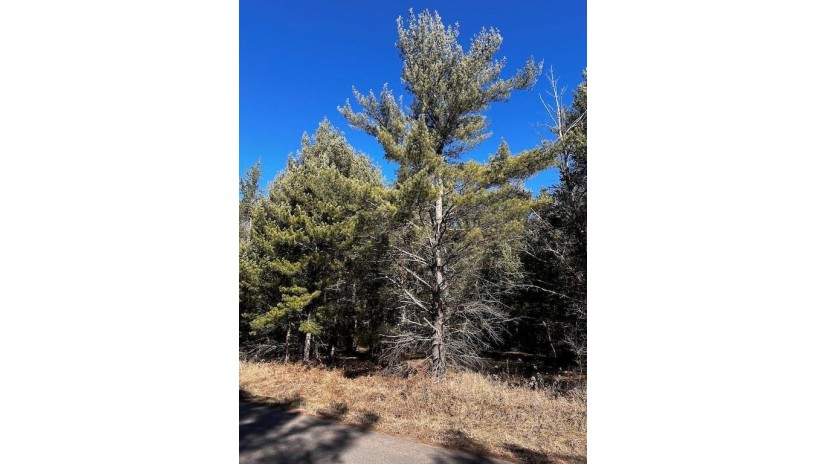 Lot 8 N Riverside Road Cable, WI 54821 by Edmunds Company, Llp $23,500