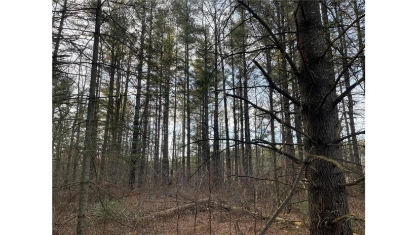 0 Old 14 Road Glen Flora, WI 54526 by Whitetail Properties Real Estate $28,000