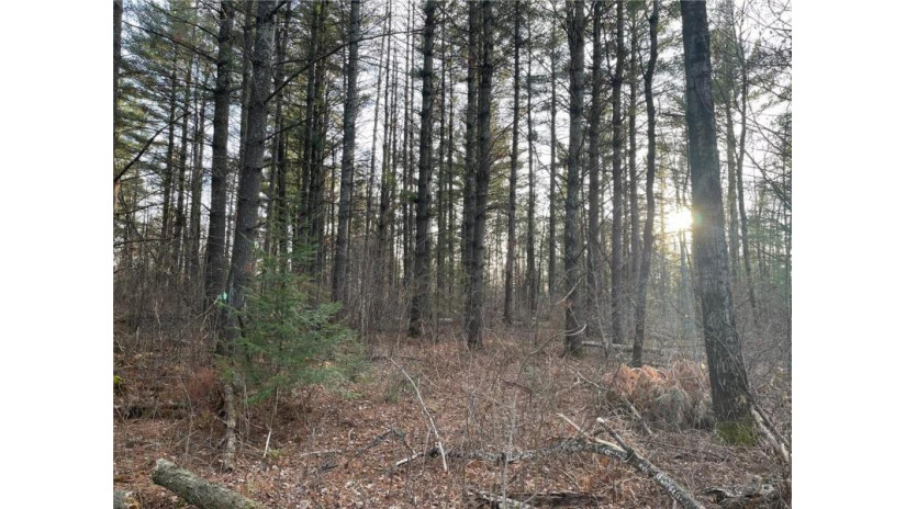 0 Old 14 Road Glen Flora, WI 54526 by Whitetail Properties Real Estate $28,000