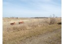 3.93 acres County Hwy G, Stanley, WI 54768 by Riverbend Realty Group, Llc $45,000