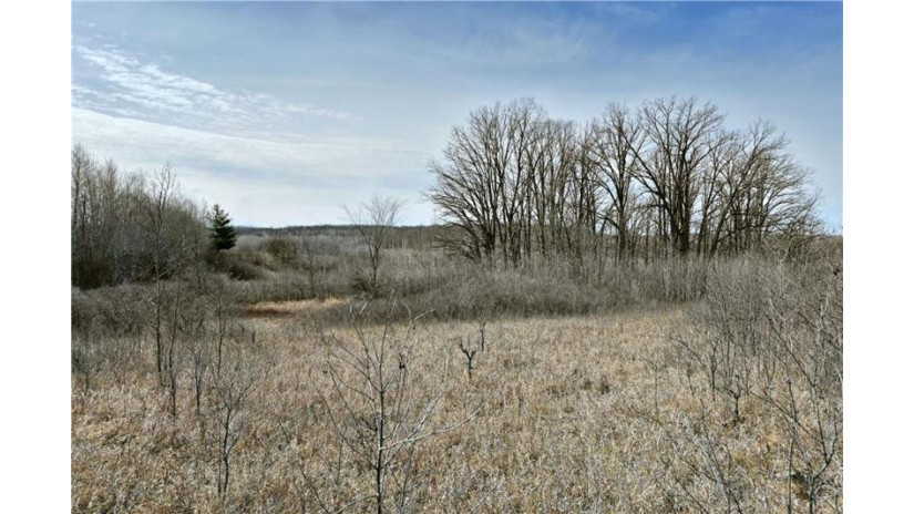 Lot 9 Wildcat Road Spooner, WI 54801 by Pine Point Real Estate Llc $99,990