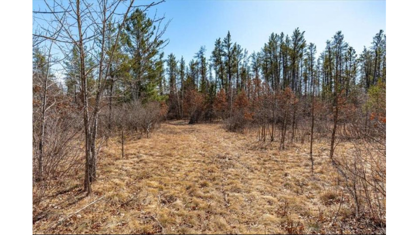 xxxx 20 Acres Tranus Lake Road Springbrook, WI 54875 by Compass Realty Group $97,500