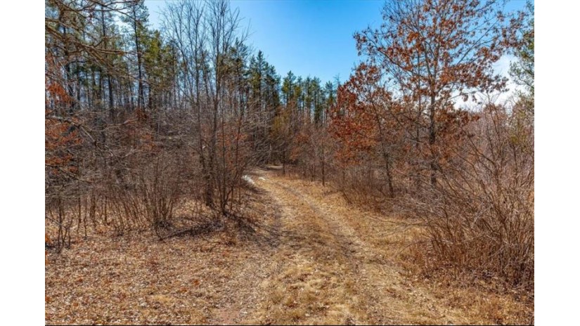 xxxx 20 Acres Tranus Lake Road Springbrook, WI 54875 by Compass Realty Group $97,500