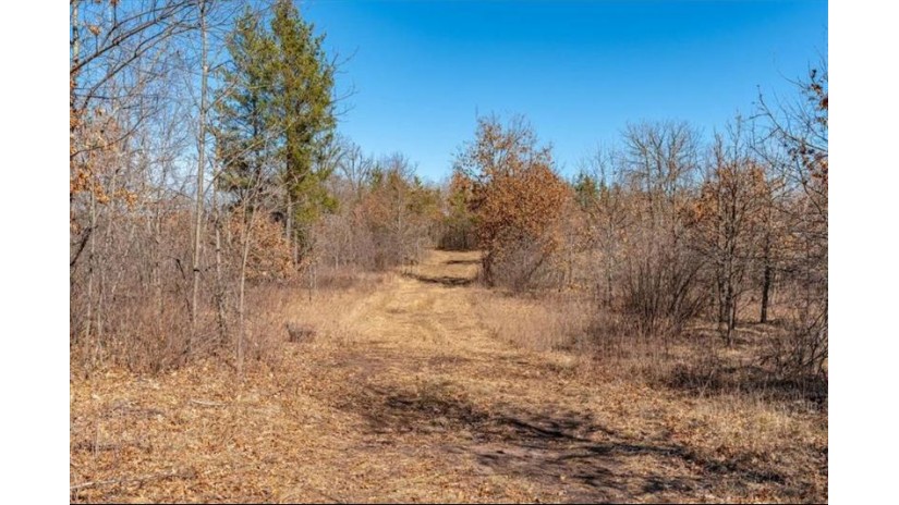 xxxx 20 Acres Tranus Lake Road Springbrook, WI 54875 by Compass Realty Group $97,500